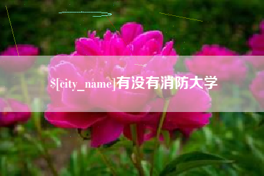 大丰有没有消防大学