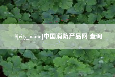 大丰中国消防产品网 查询
