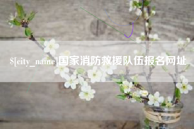 大丰国家消防救援队伍报名网址