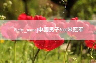 大丰中国男子5000米冠军