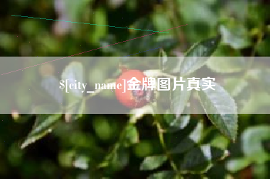大丰金牌图片真实