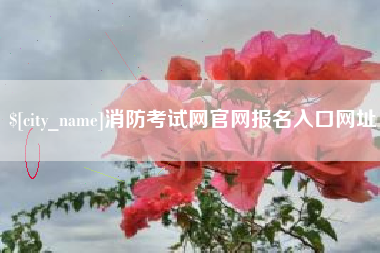 大丰消防考试网官网报名入口网址