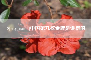 大丰中国第九枚金牌是谁得的