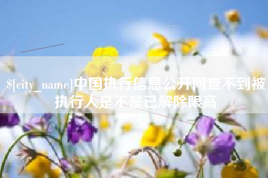 大丰中国执行信息公开网查不到被执行人是不是已解除限高