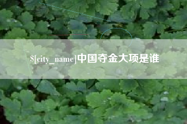 大丰中国夺金大项是谁
