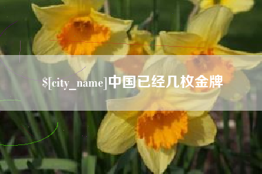 大丰中国已经几枚金牌