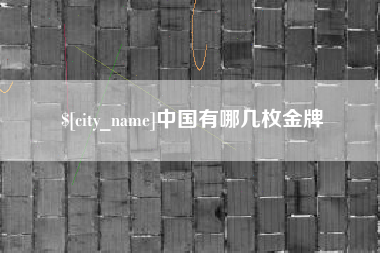 大丰中国有哪几枚金牌