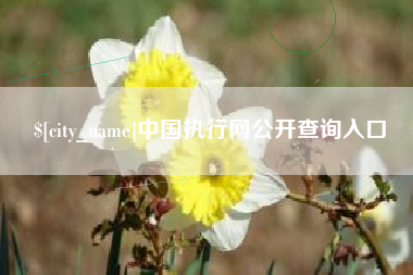 大丰中国执行网公开查询入口