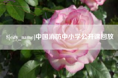 大丰中国消防中小学公开课回放