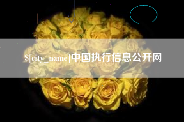 大丰中国执行信息公开网