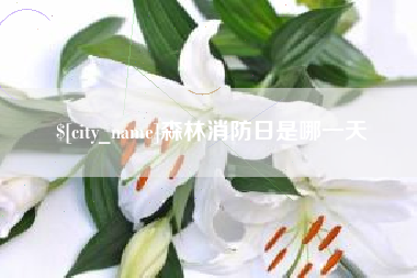 大丰森林消防日是哪一天