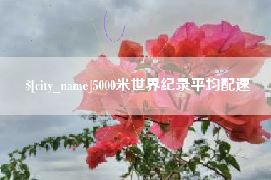 大丰5000米世界纪录平均配速