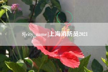大丰上海消防员2021