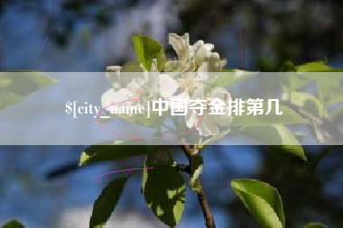 大丰中国夺金排第几