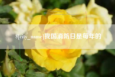 大丰我国消防日是每年的
