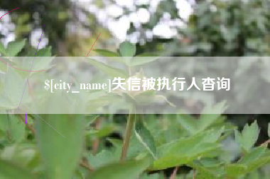 大丰失信被执行人杳询