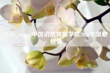 大丰中国消防救援学院2020年录取结果