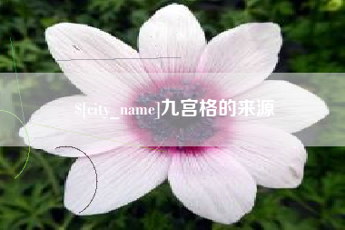 大丰九宫格的来源