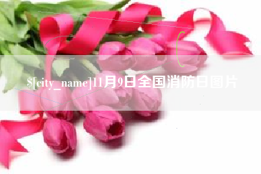 大丰11月9日全国消防日图片