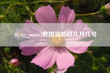 大丰我国消防日几月几号