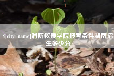 大丰消防救援学院报考条件湖南招生多少分