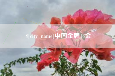 大丰中国金牌18金