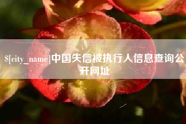 大丰中国失信被执行人信息查询公开网址