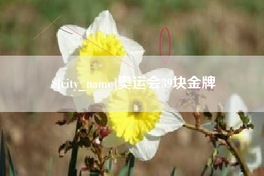 大丰奥运会39块金牌