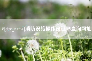 大丰消防设施操作员证书查询网址