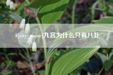 大丰九宫为什么只有八卦