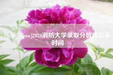 大丰2024消防大学录取分数线公布时间