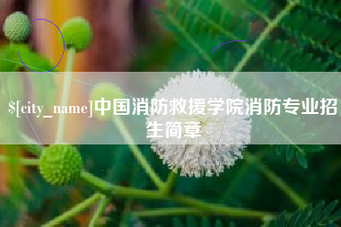 大丰中国消防救援学院消防专业招生简章