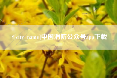 大丰中国消防公众号app下载