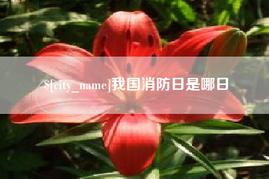 大丰我国消防日是哪日