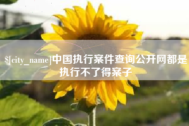 大丰中国执行案件查询公开网都是执行不了得案子
