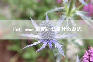 大丰消防ccc认证什么意思
