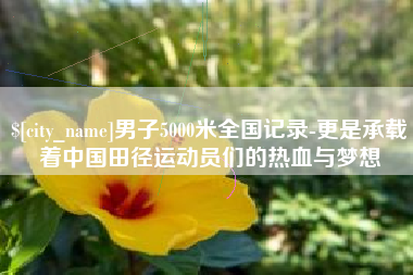 大丰男子5000米全国记录-更是承载着中国田径运动员们的热血与梦想