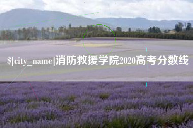 大丰消防救援学院2020高考分数线