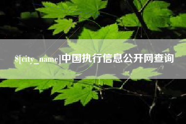 大丰中国执行信息公开网查询