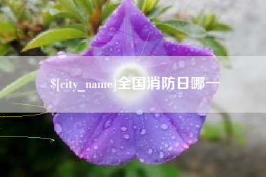 大丰全国消防日哪一