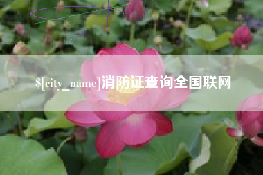 大丰消防证查询全国联网