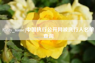 大丰中国执行公开网被执行人名单查询