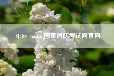 大丰国家消防考试网官网