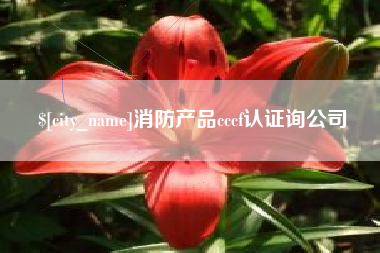 大丰消防产品cccf认证询公司