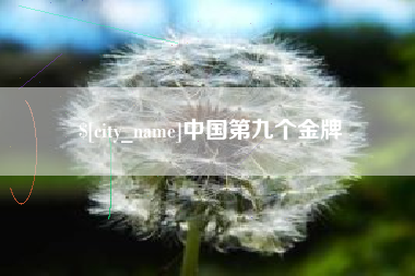 大丰中国第九个金牌