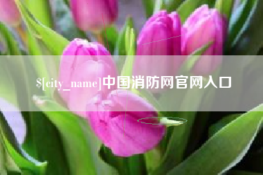 大丰中国消防网官网入口