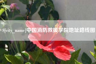 大丰中国消防救援学院地址路线图