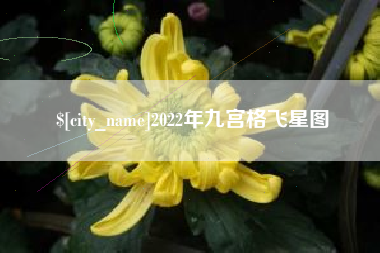 大丰2022年九宫格飞星图