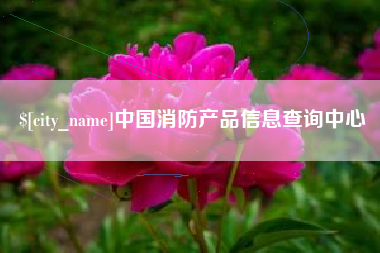 大丰中国消防产品信息查询中心