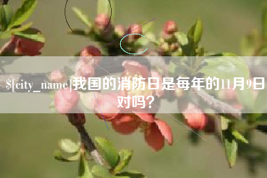 大丰我国的消防日是每年的11月9日对吗？